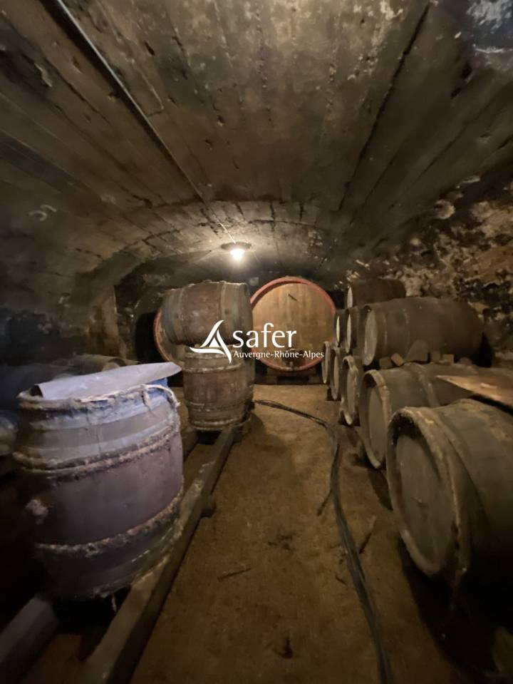 Propiedad rural En venta R&oacute;dano