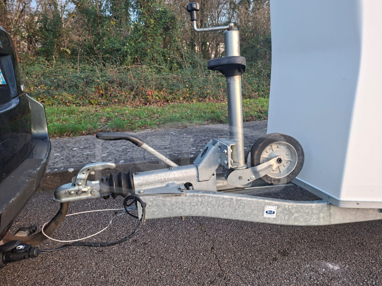 Van caballos Cheval Libert&eacute; Gold One White Line 1,5 Caballos 2019 De segunda mano