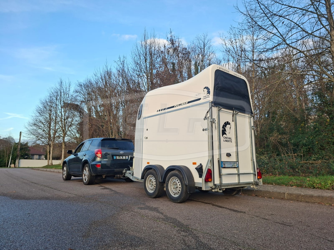 Van caballos Cheval Libert&eacute; Gold One White Line 1,5 Caballos 2019 De segunda mano