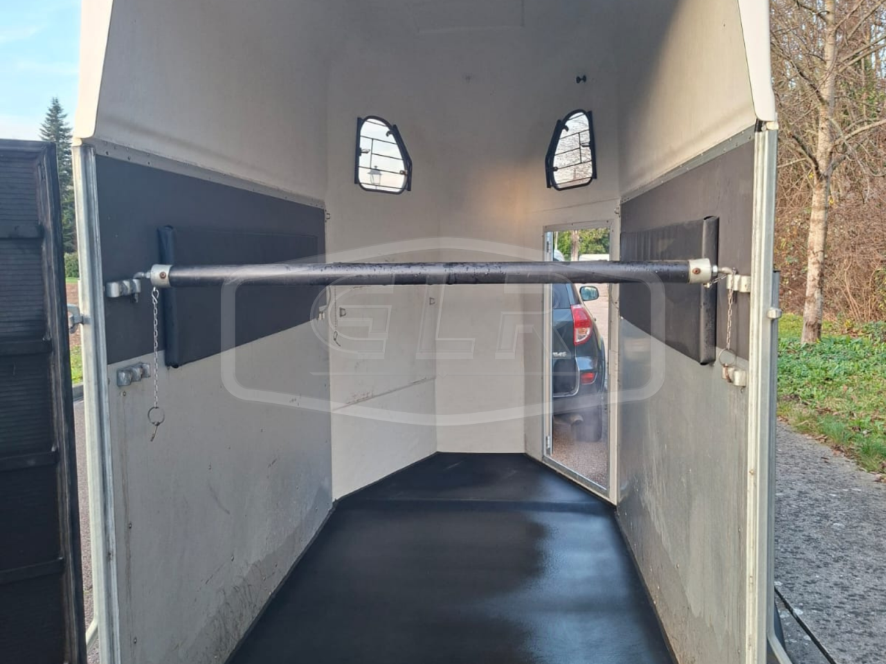 Van caballos Cheval Libert&eacute; Gold One White Line 1,5 Caballos 2019 De segunda mano