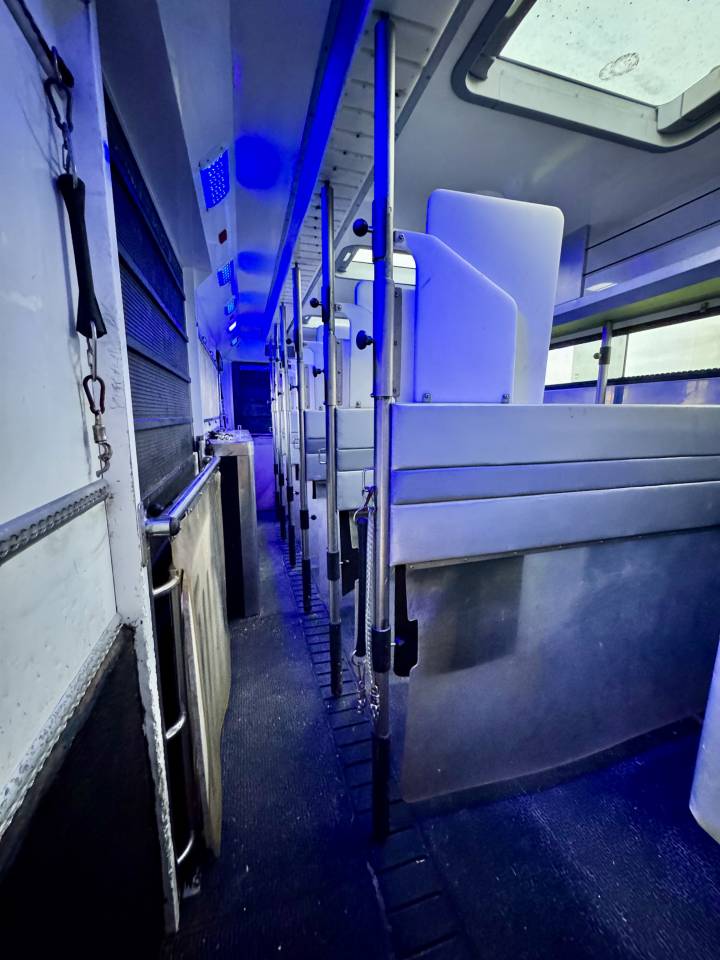 Cami&oacute;n para caballos Scania P380 2010 De segunda mano