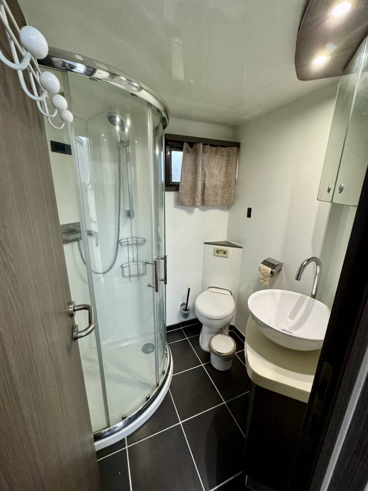 Cami&oacute;n para caballos Scania P380 2010 De segunda mano