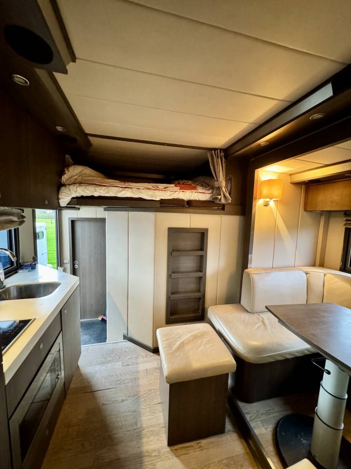 Cami&oacute;n para caballos Scania P380 2010 De segunda mano