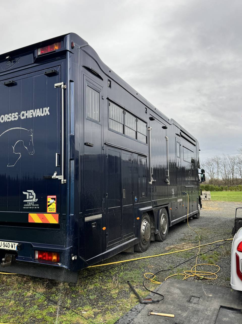Cami&oacute;n para caballos Scania P380 2010 De segunda mano