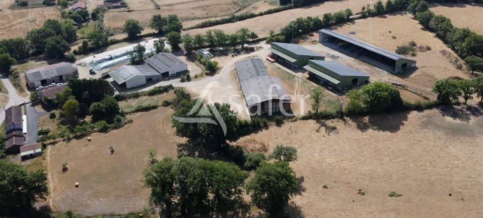 Explotaci&oacute;n ovina En venta Vienne