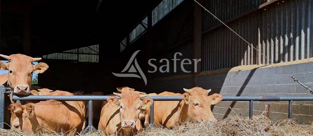 Explotaci&oacute;n ovina En venta Vienne