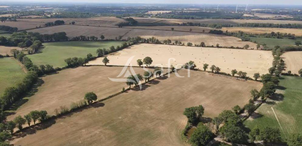 Explotaci&oacute;n ovina En venta Vienne