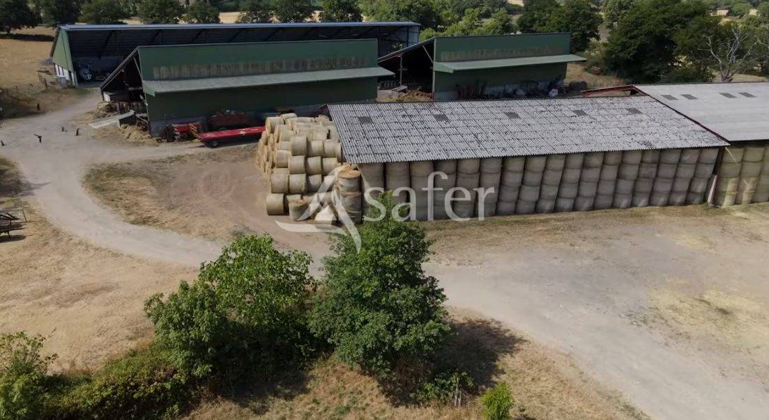 Explotaci&oacute;n ovina En venta Vienne