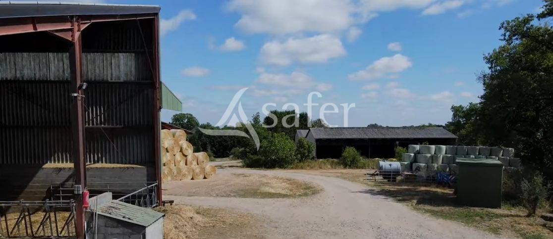 Explotaci&oacute;n ovina En venta Vienne