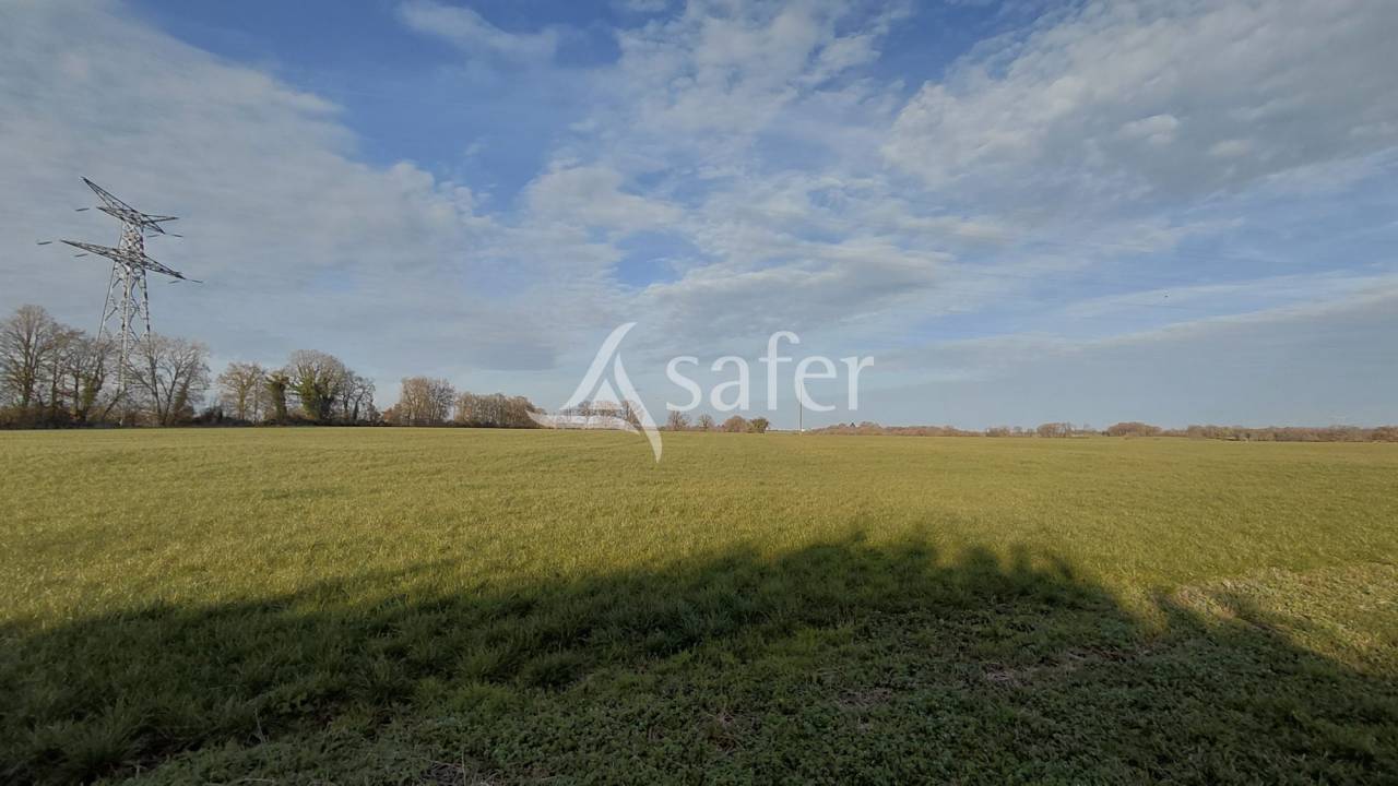 Propiedad rural En venta Vienne