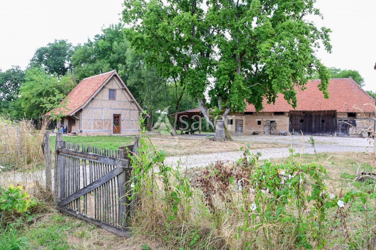 Explotaci&oacute;n agr&iacute;cola En venta Jura