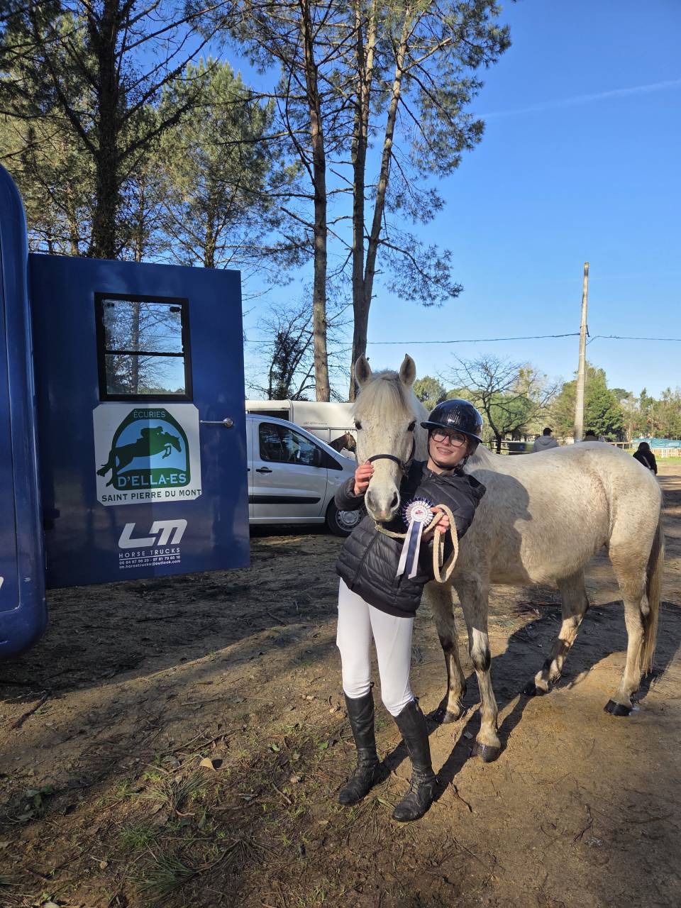 Caballo castrado PFS Poni Fran&ccedil;&eacute;s de Silla En venta 2018 Tordo