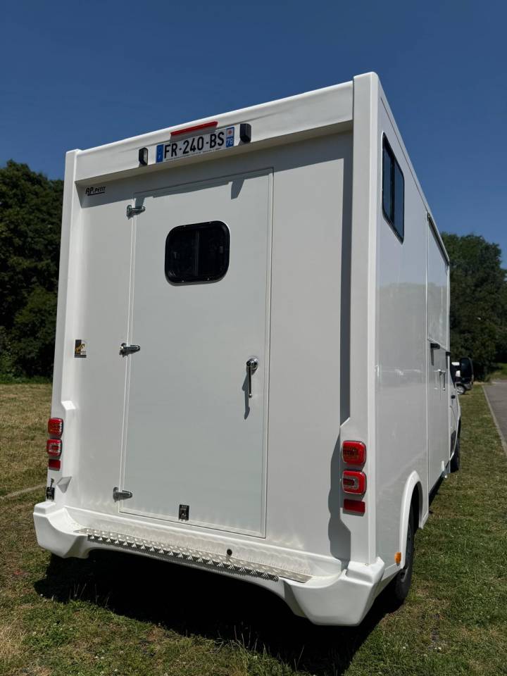 Furgoneta para caballos AP Petit Renault Master 2019 De segunda mano