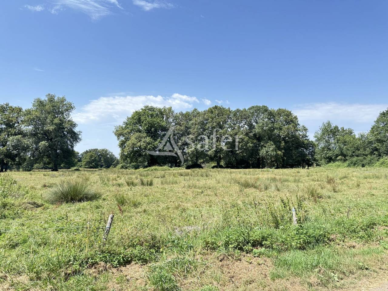 Explotaci&oacute;n agr&iacute;cola En venta Charente