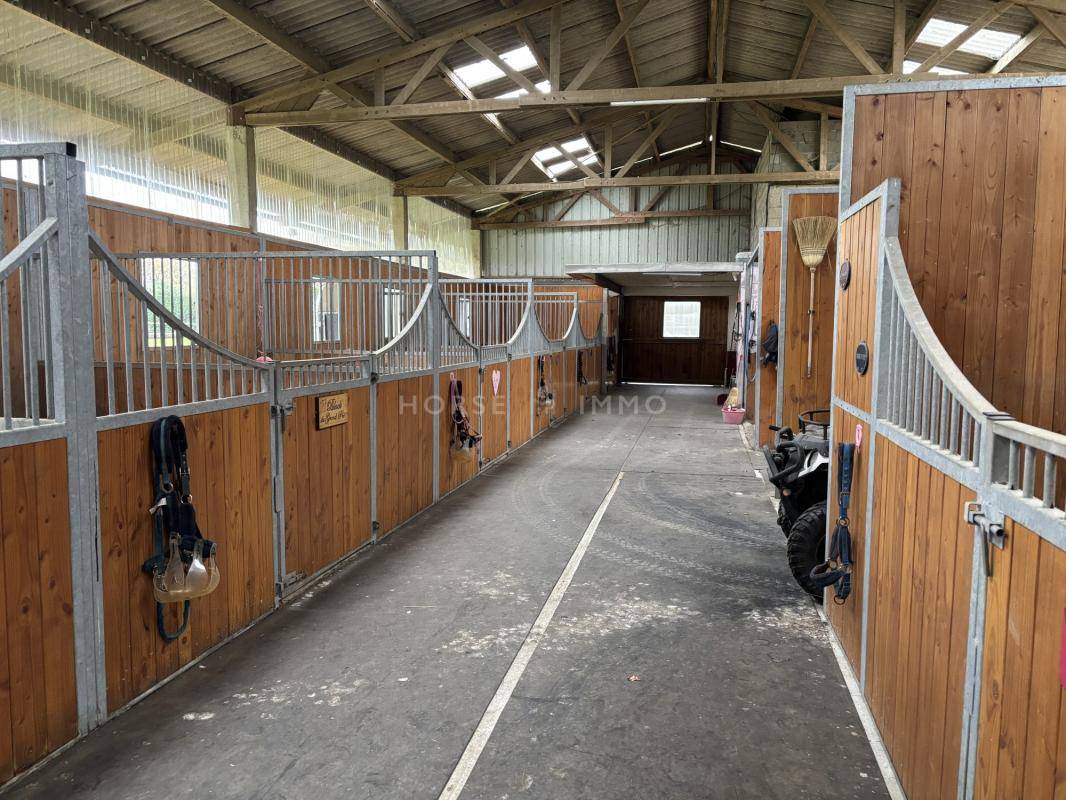 Propiedad ecuestre En venta Maine y Loira