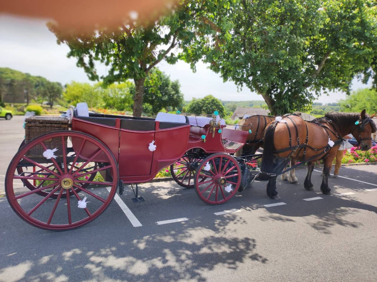 Coche enganches - Vis a vis   