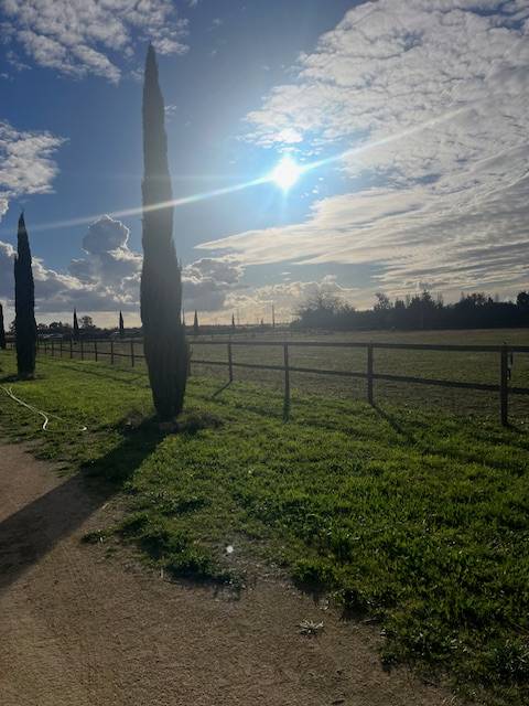 Propiedad ecuestre En venta Gard