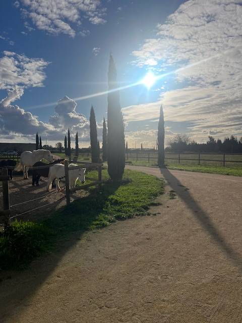 Propiedad ecuestre En venta Gard