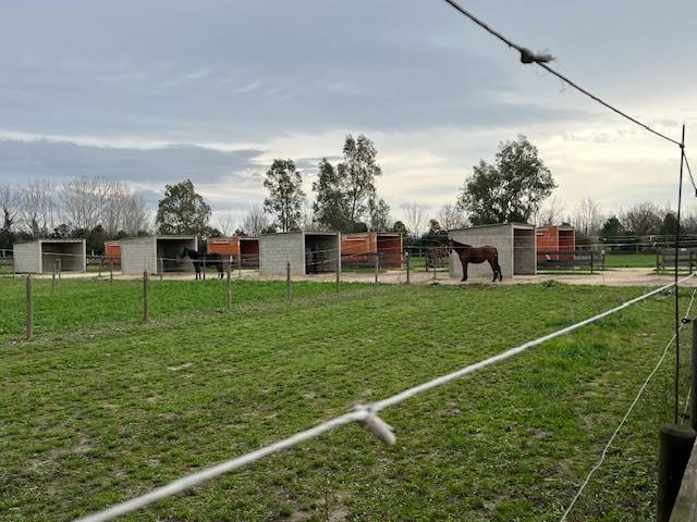 Propiedad ecuestre En venta Gard