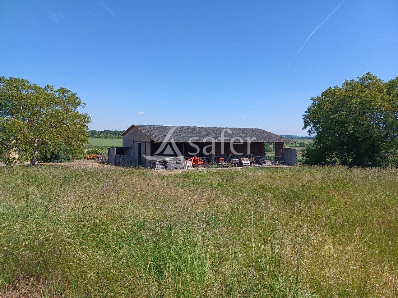 Explotaci&oacute;n agr&iacute;cola En venta Vienne