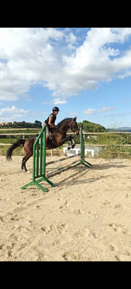 CALIDAD,ELEGANCIA Y POTENCIAL: YEGUA DE 4 A&Ntilde;OS