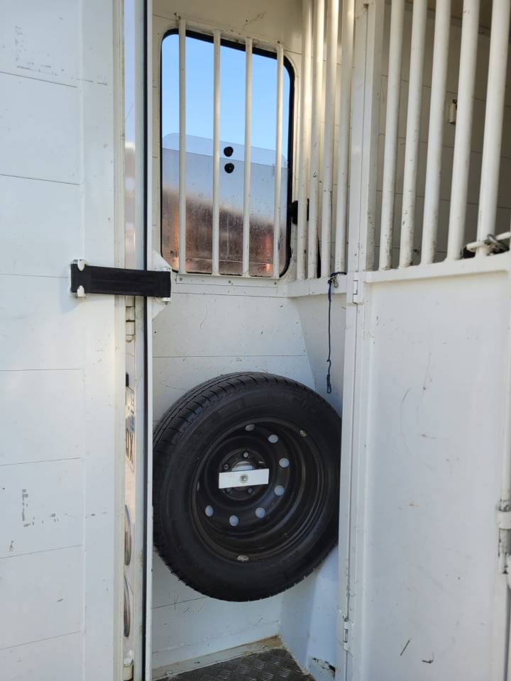 Furgoneta para caballos Renault Rucel 2005 De segunda mano