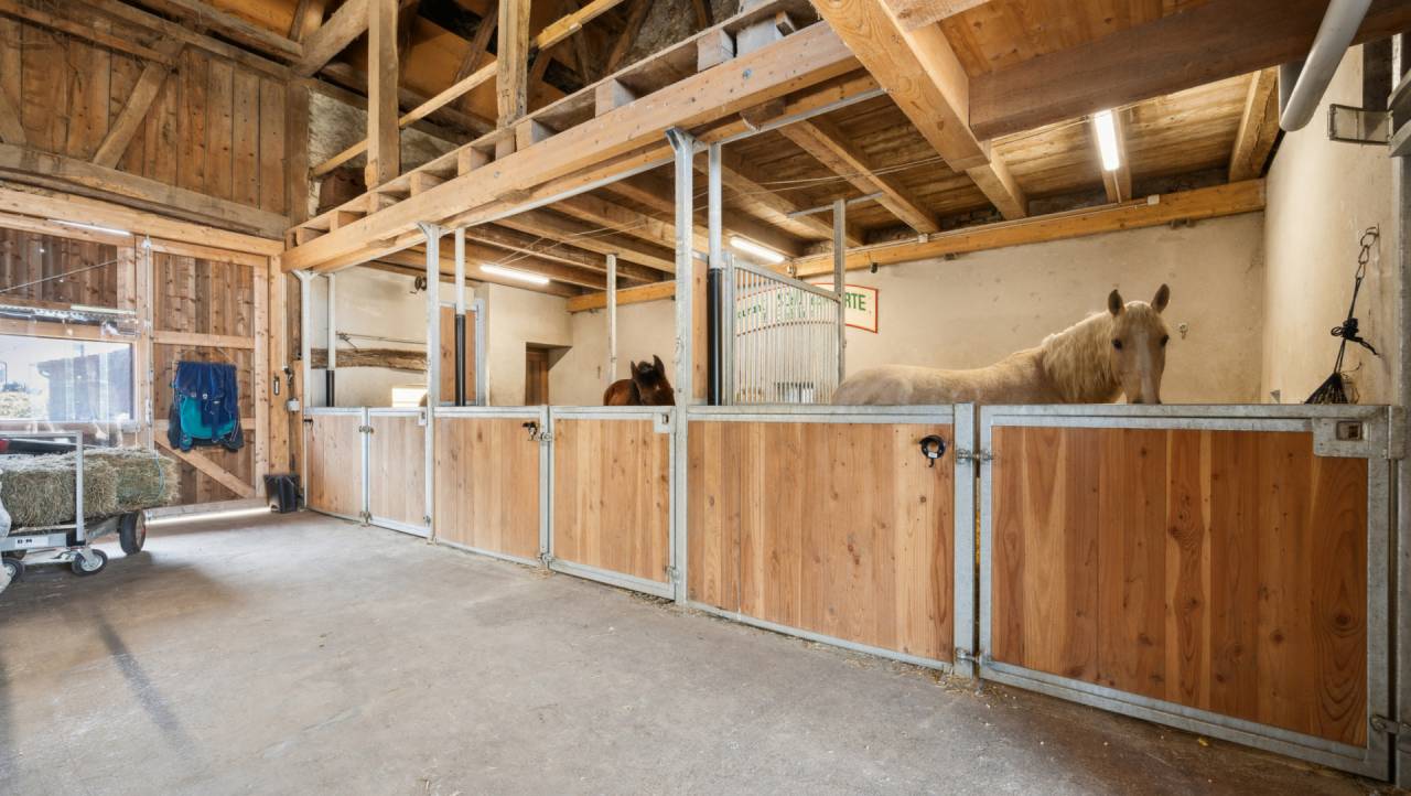 Propiedad ecuestre En venta Jura-Suizo