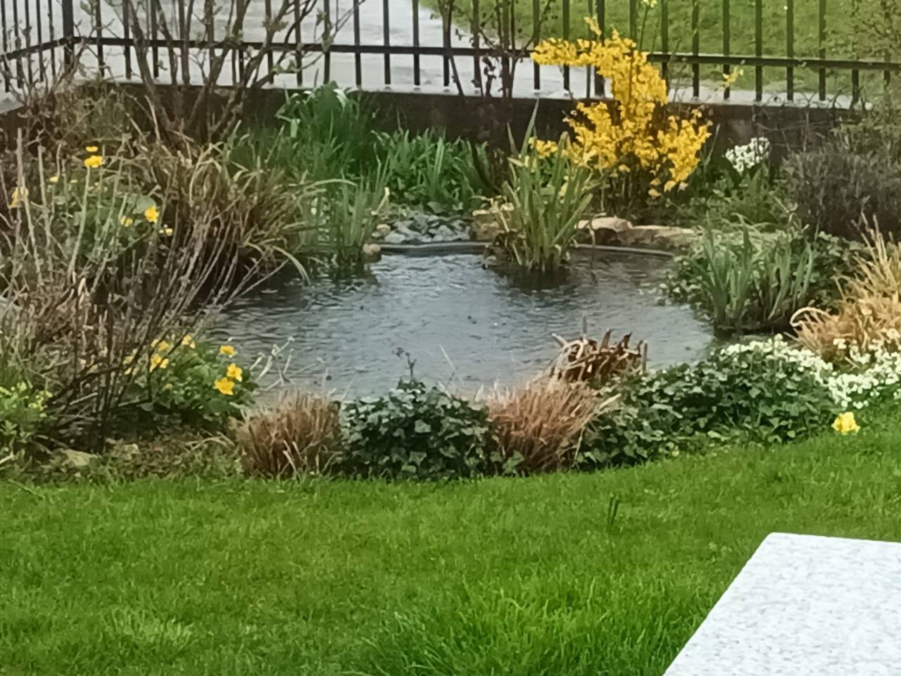 Propiedad ecuestre En venta Jura-Suizo