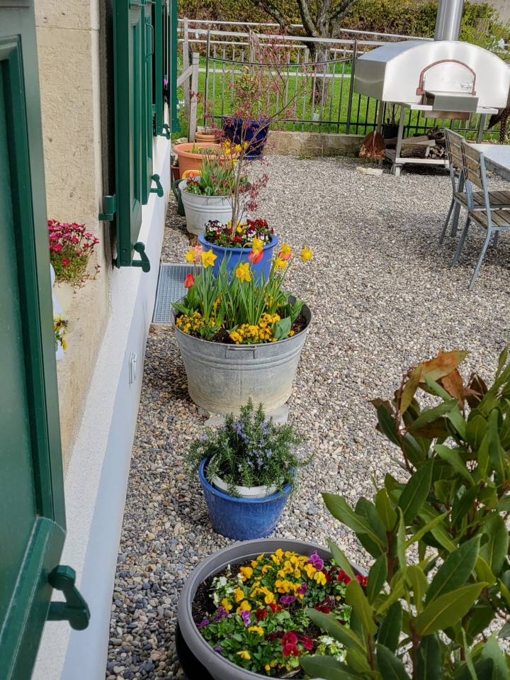 Propiedad ecuestre En venta Jura-Suizo