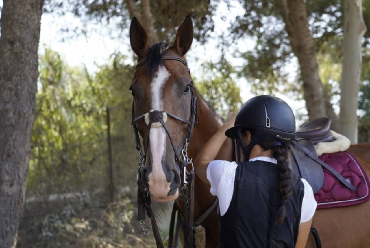 YEGUA SALTO PERFECTA AMATEUR
