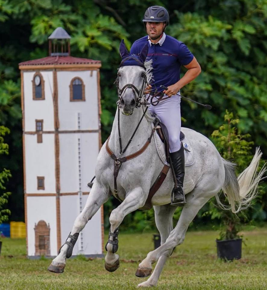 Caballo en venta- Silla Franc&eacute;s 