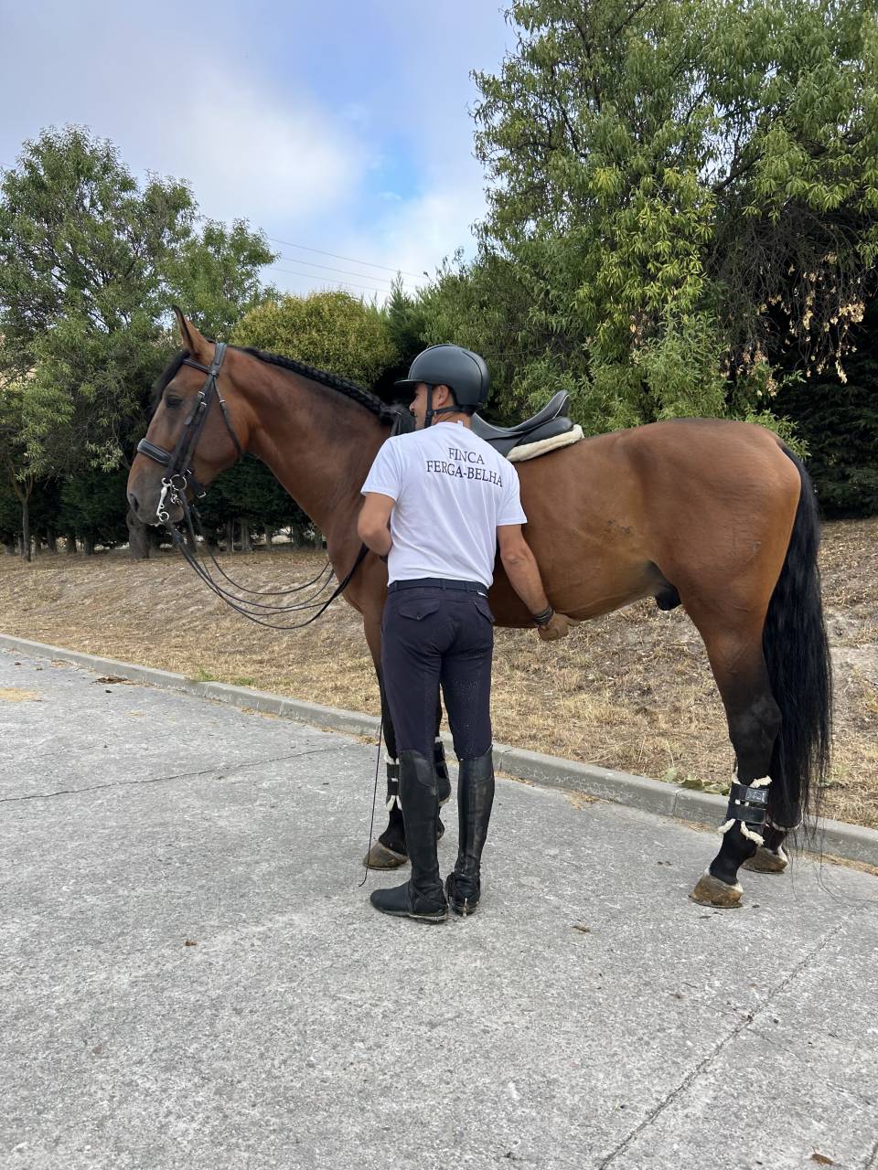 OSADO JF Caballo PRE 