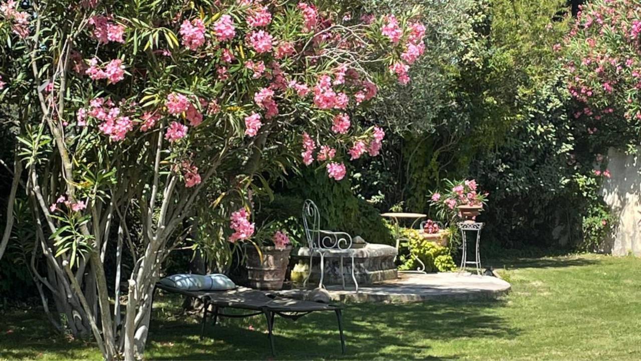 Propiedad ecuestre En venta Bocas del R&oacute;dano