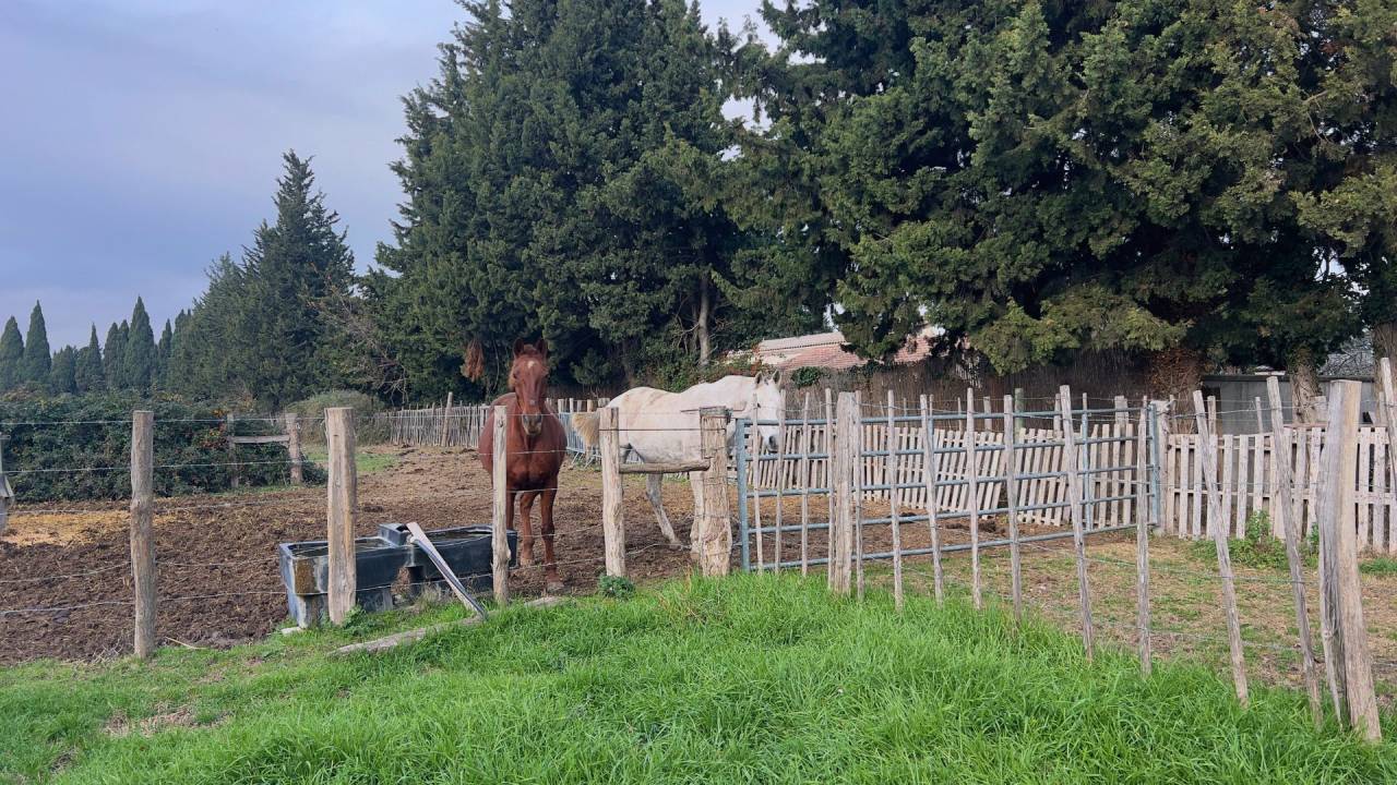 Propiedad ecuestre En venta Bocas del R&oacute;dano