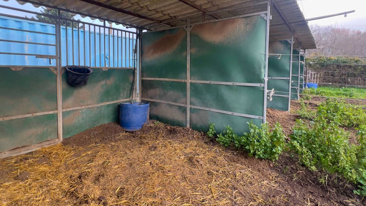 Propiedad ecuestre En venta Bocas del R&oacute;dano