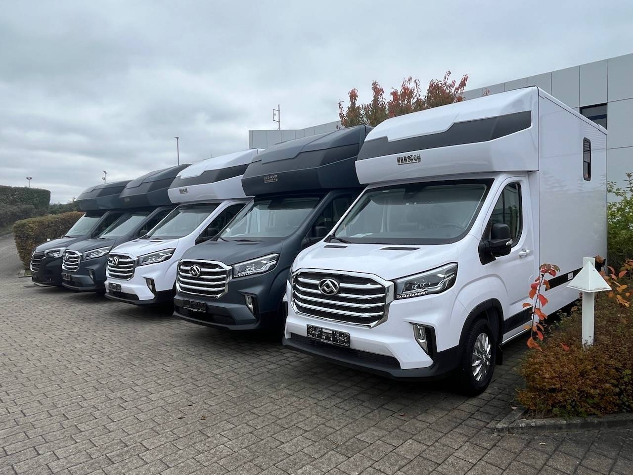 Furgoneta para caballos Otra marca MAXUS 0 Nuevo