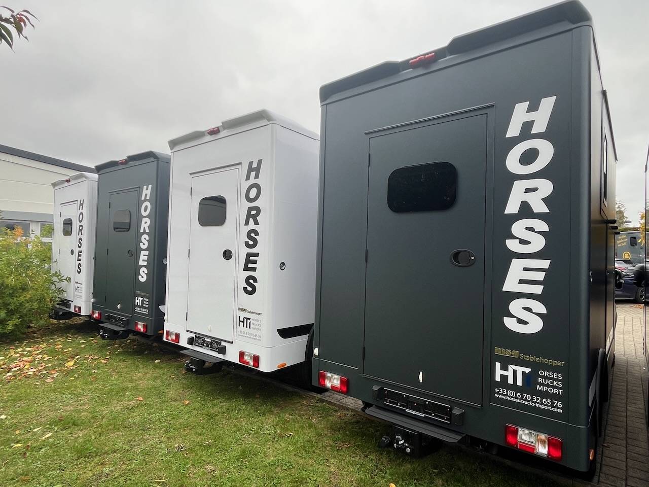 Furgoneta para caballos Otra marca MAXUS 0 Nuevo