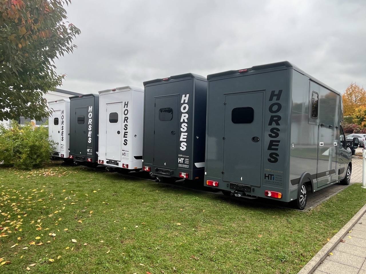 Furgoneta para caballos Otra marca MAXUS 0 Nuevo