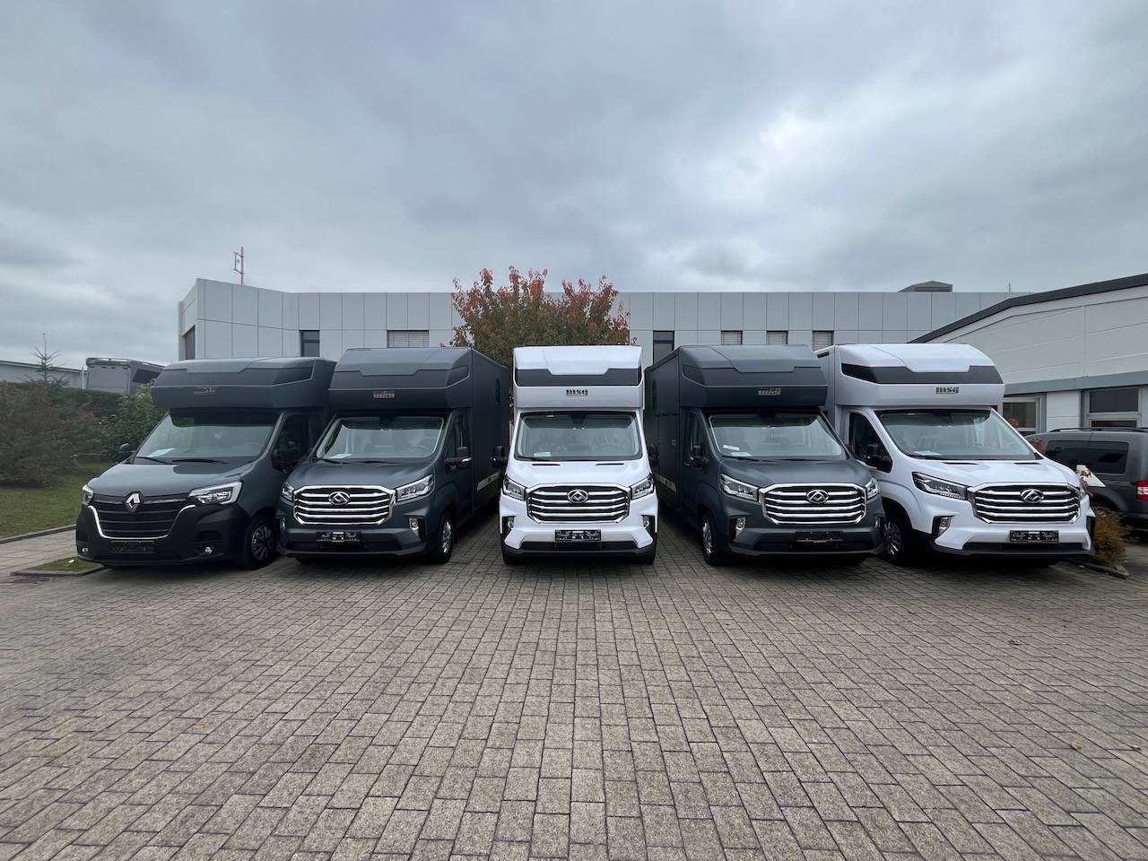 Furgoneta para caballos Otra marca MAXUS 0 Nuevo