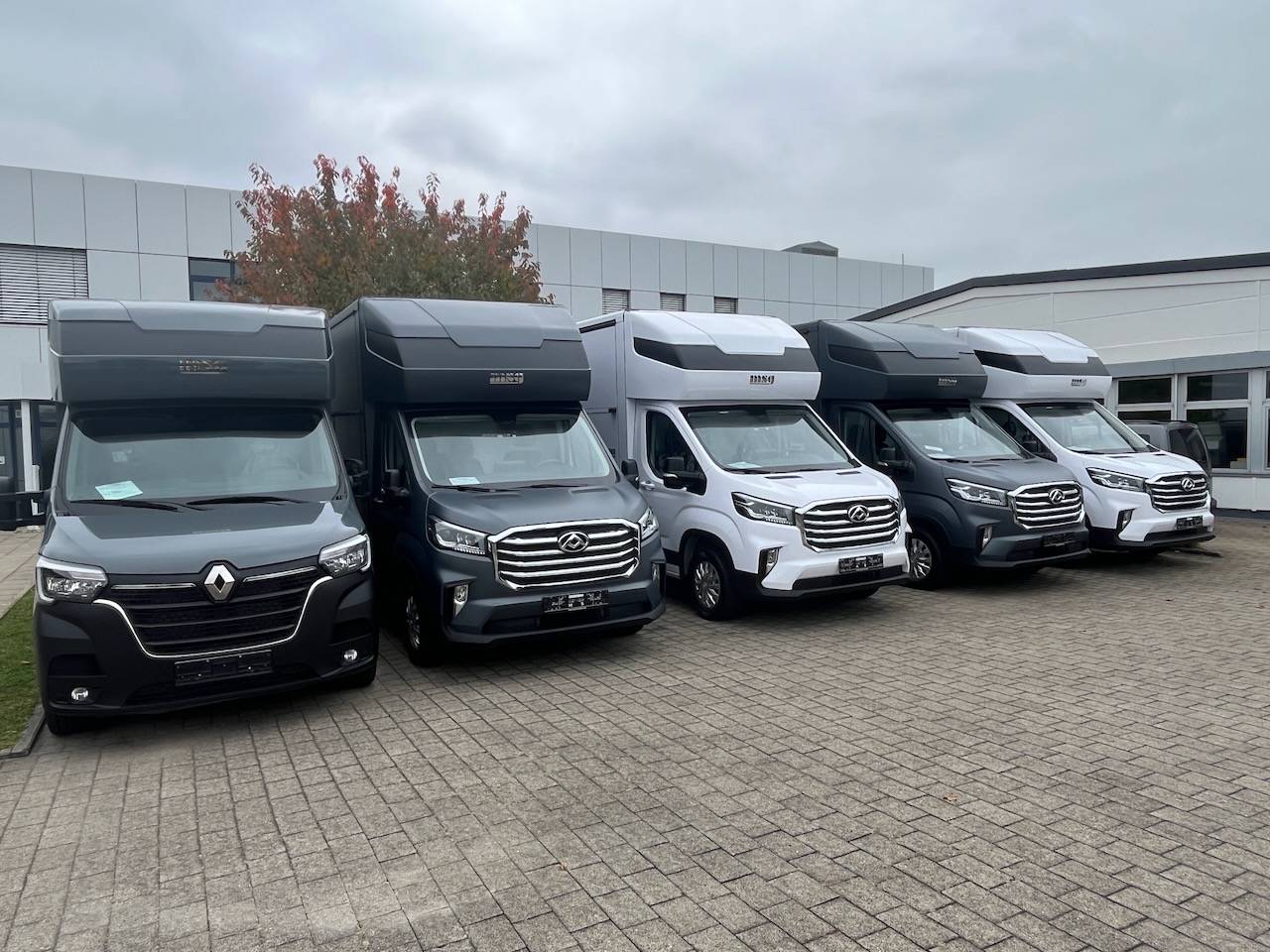 Furgoneta para caballos Otra marca MAXUS 0 Nuevo