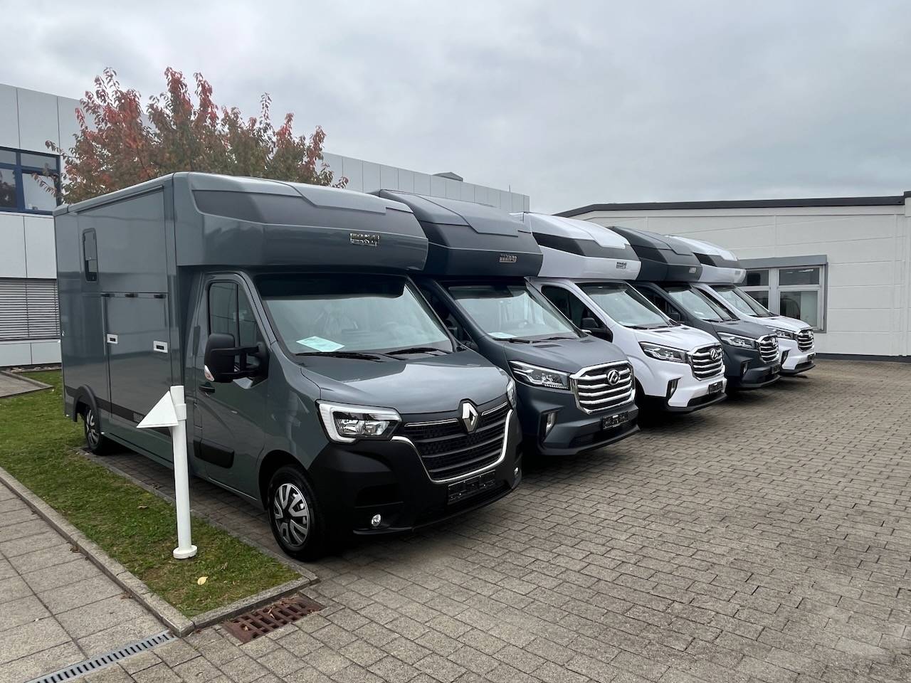 Furgoneta para caballos Otra marca MAXUS 0 Nuevo