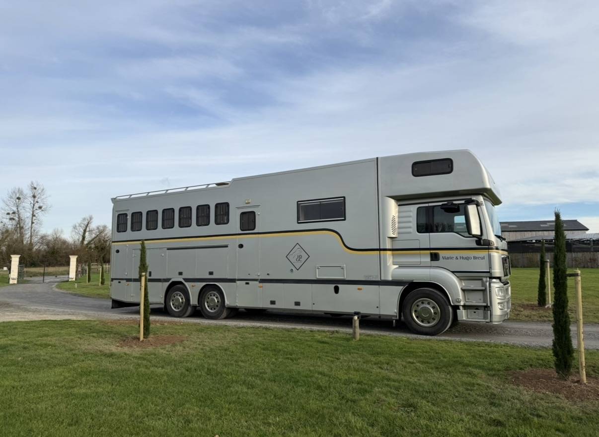 Cami&oacute;n para caballos Man 400 chx double essieu  2010 De segunda mano