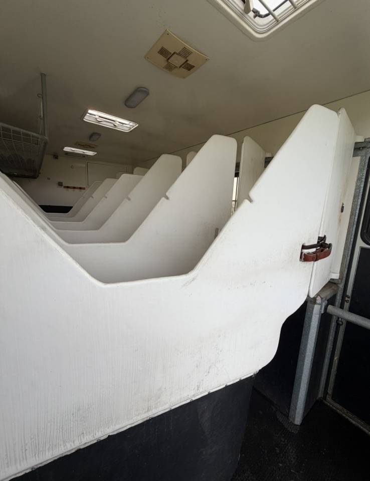 Cami&oacute;n para caballos Man 400 chx double essieu  2010 De segunda mano