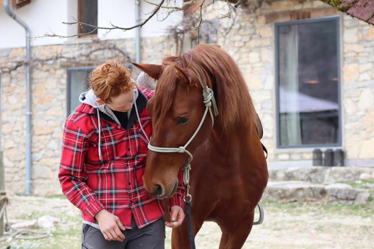 Caballo castrado Origen No Constatado En venta 2018 Alaz&aacute;n