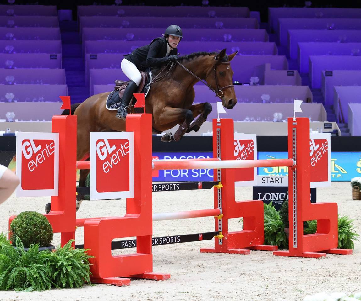 Yegua Silla Franc&eacute;s En venta 2015 Bayo