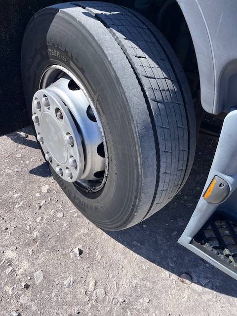 Cami&oacute;n para caballos Renault  2013 De segunda mano