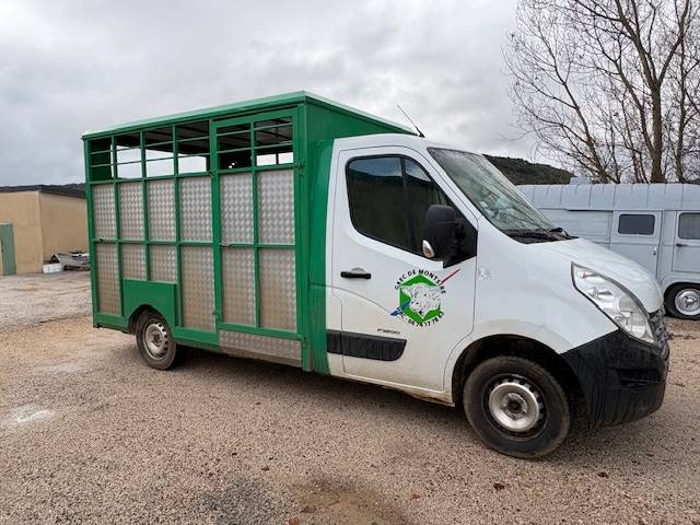 Furgoneta para caballos Renault  2012 De segunda mano