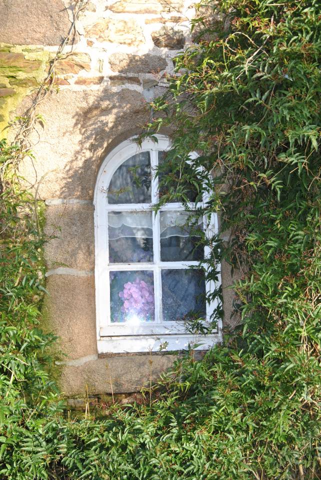 Bonita residencia ecuestre En venta C&ocirc;te d'Armor