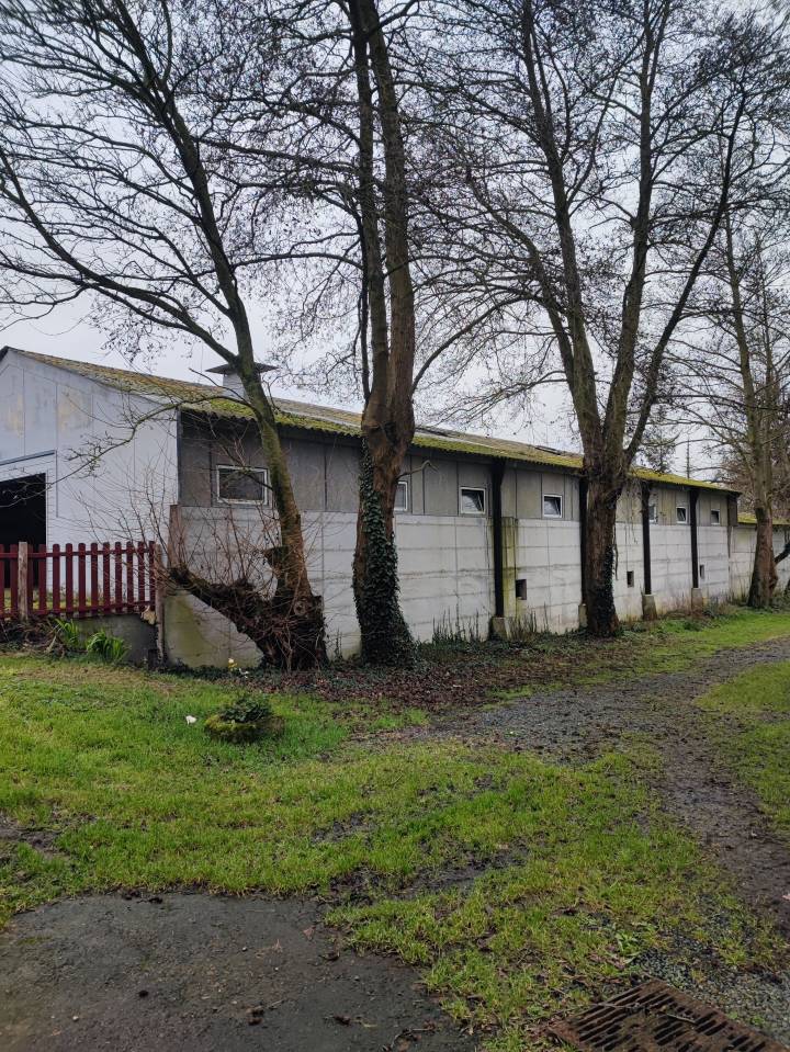 Bonita residencia ecuestre En venta C&ocirc;te d'Armor