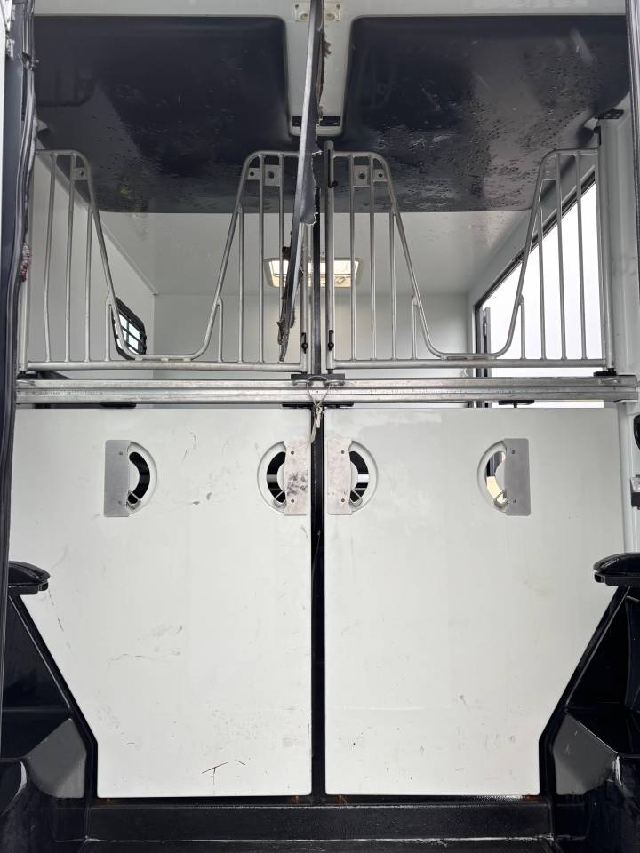 Furgoneta para caballos Theault Proteo 2015 De segunda mano